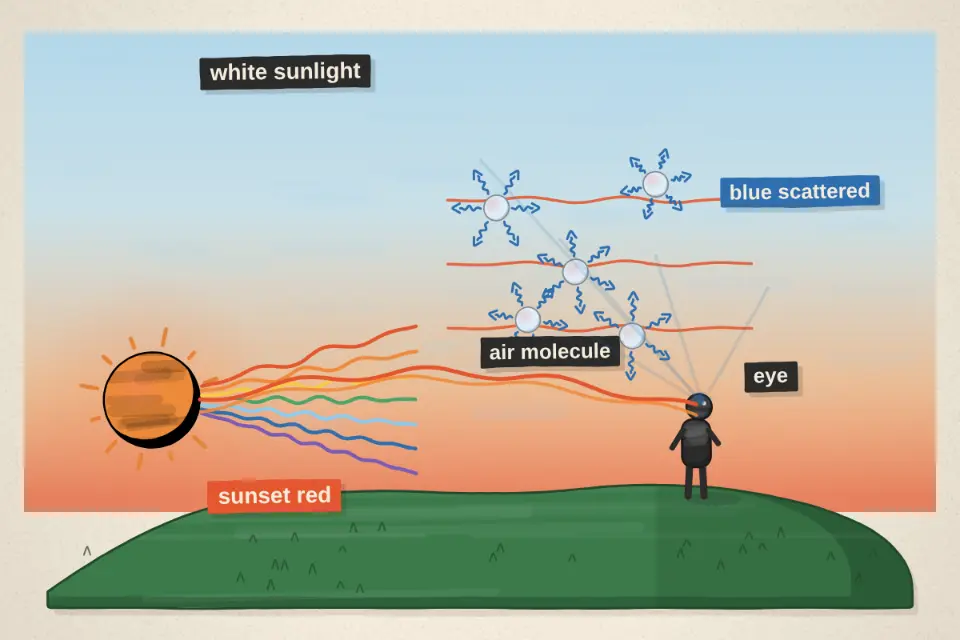 Sunlight is a mix of every colour. Air molecules scatter short blue waves much more than long red ones, so blue light reaches your eyes from every direction in the sky.