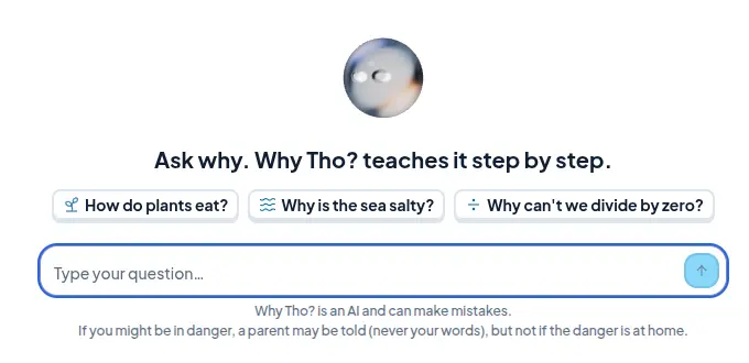 The empty chat in Why Tho?, ready for a question