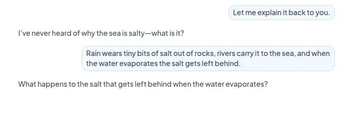 Explaining why the sea is salty to a curious beginner, who asks what happens next